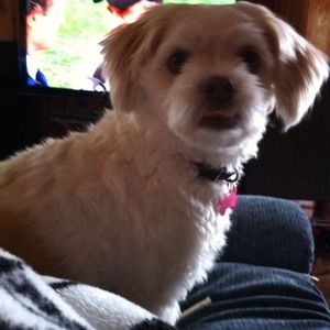 Meet your Posher, Darlene